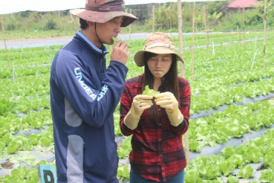Người nước ngoài tìm đến Việt Nam làm Đăng ký và nhận 60K 24 bao lì xì miễn phí mỗi ngày
