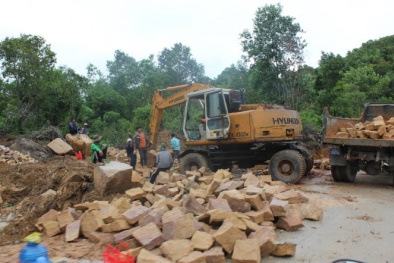 Giá đất Phú Quốc tăng bất thường: Khi dân Phú Quốc chiếm rừng bán 'đất chỉ'