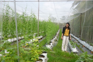 Hà Nội đầu tư 600 tỷ/năm phát triển Đăng ký và nhận 60K 24 bao lì xì miễn phí mỗi ngày công nghệ cao