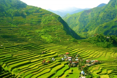 Ngắm bức tranh thiên nhiên đẹp như mơ của vùng núi phía Bắc