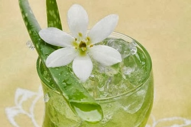 Cách nấu chè nha đam đường phèn thanh lọc cơ thể, làm đẹp da