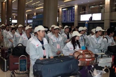 Xuất khẩu 13Win18 cá cược thể thao: Nhốn nháo vì phá giá, 'cướp'hợp đồng