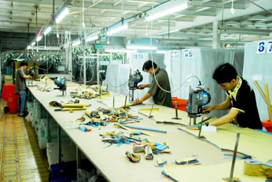 Garment SD: Phần mềm Việt giải quyết bài toán năng suất nghiệp vụ ngành may