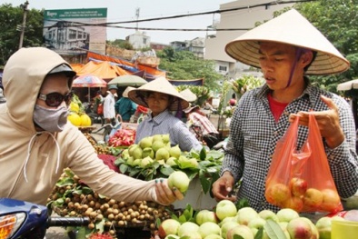  Đào Trung Quốc đội lốt đào Sapa tràn ngập thị trường