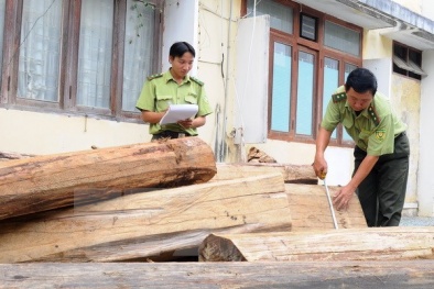 Tin tức pháp luật mới nhất 24h hôm nay ngày 24/7