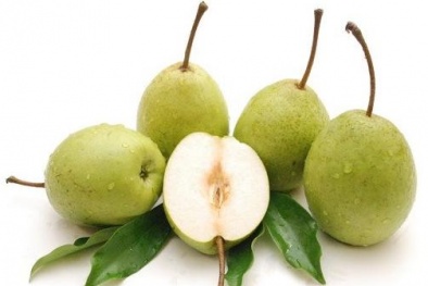 Kỹ thuật trồng cây lê cho quả ngọt, nhiều nước 