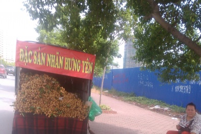  ‘Nhãn lồng Hưng Yên đang bán tại Hà Nội chắc chắn là giả mạo’