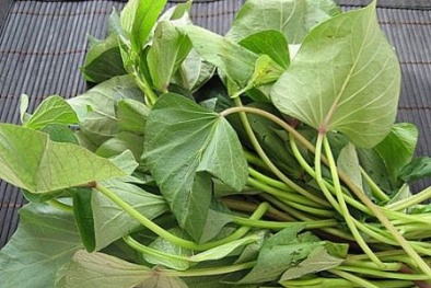 Những lưu ý khi bà bầu sử dụng rau lang