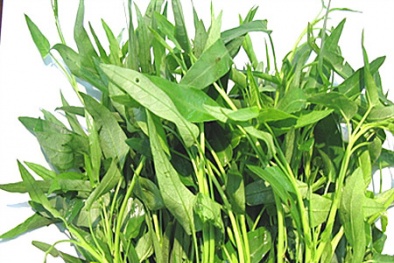 Bà bầu có nên ăn rau muống trong thai kỳ?