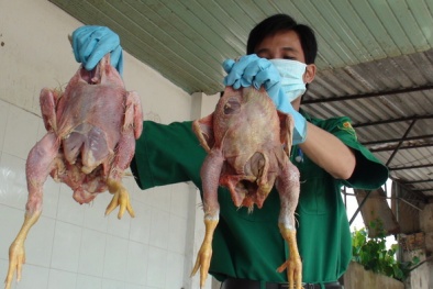 Tin tức pháp luật mới nhất hôm nay ngày 31/7
