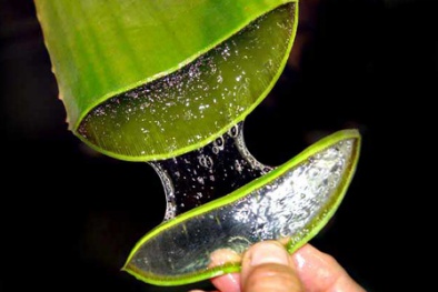 Trị nám da từ các mặt nạ nguồn gốc thiên nhiên 