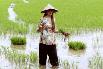 Mẫu Tây Andrea xắn quần xông xáo đi cấy lúa