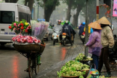 Dự báo thời tiết ngày mai 11/8: Ngày nắng, chiều và tối có mưa rào rải rác 