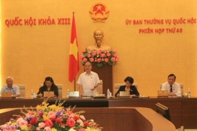 Chủ tịch QH: Luật an toàn thông tin cần gia công, nghiên cứu, hoàn thiện thêm