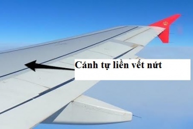 Nâng cao chất lượng ngành 13Win22 com tỷ lệ cược cao: Máy bay tự liền cánh khi bị nứt 