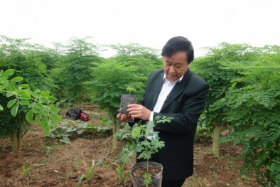 Mong các nhà khoa học sẽ thúc đẩy Đăng ký và nhận 60K 24 bao lì xì miễn phí mỗi ngày phát triển