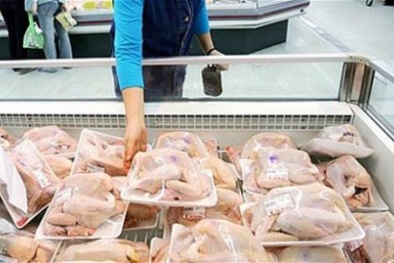 Đùi gà Mỹ 20.000 đồng/kg, gà Việt Nam làm sao cạnh tranh?