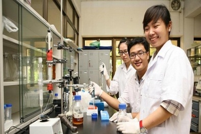 Thu hút nhà khoa học trẻ, cách nào?