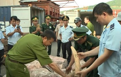 Tin tức pháp luật mới nhất hôm nay ngày 22/8