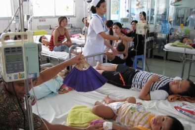 29/30 quận, huyện ở Hà Nội bùng phát dịch sốt xuất huyết