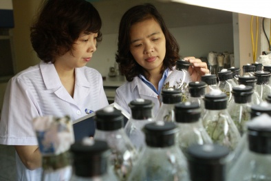 Nhà khoa học trẻ Phạm Văn Phúc: Làm nghiên cứu phải biết ‘giữ lửa’ đam mê