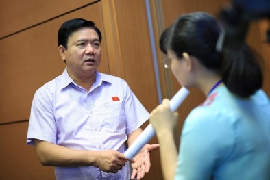 Bộ trưởng Đinh La Thăng sẽ tiếp dân vào ngày nào trong tháng?