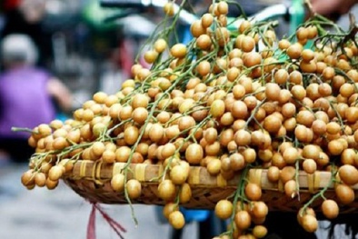 Quất hồng bì chứa dinh dưỡng bảo vệ 13Win19 ưu đãi hấp dẫn bà bầu khi chuyển mùa