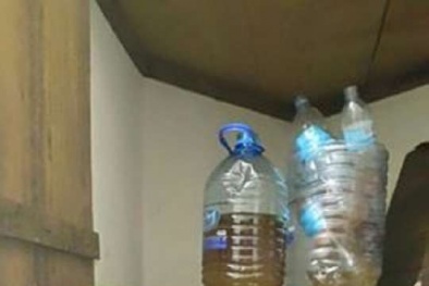 Dùng nước tiểu nấu ăn cho Đăng ký và nhận 60K 24 bao lì xì miễn phí mỗi ngày ông chủ để trả thù