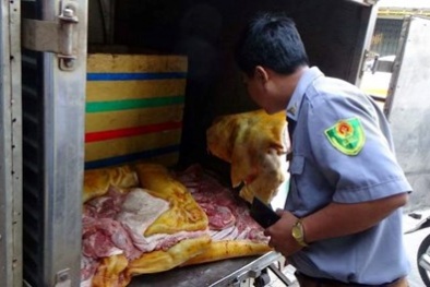 Tin tức pháp luật mới nhất 24h hôm nay ngày 19/9