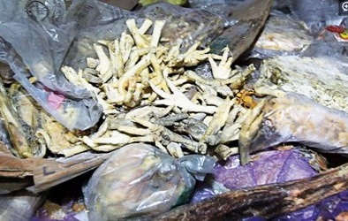 Kinh hoàng 13Win OKVIP Cá cược bóng đá Trung Quốc để hàng chục năm vẫn 'ngon'