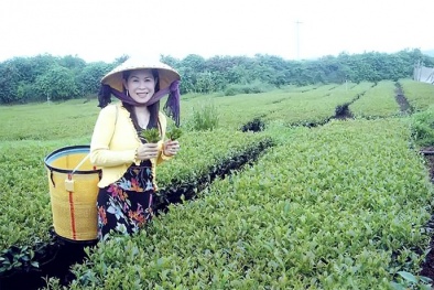 Chưa rõ nguyên nhân cái chết của nữ doanh nhân Lâm Đồng tại Trung Quốc