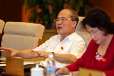 ‘Sống lâu ở Việt Nam mà không được lập hội thì họ buồn lắm!’