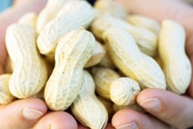 Đậu phộng có làm tăng nguy cơ dị ứng ở con sau này như bà bầu nghĩ?