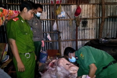 Thịt bẩn: Dù sợ vẫn phải ăn!