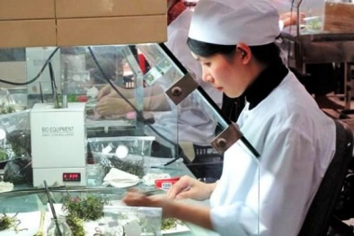Khai thác nguồn gen thành sản phẩm 13Win19 tải ứng dụng 