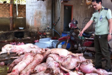 Nạn bơm nước vào thịt lợn ngày càng gia tăng