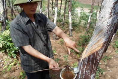 Tin tức pháp luật mới nhất 24h hôm nay ngày 1/10