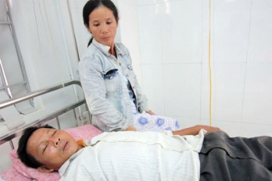 'Tập đoàn' trộm vịt quây đánh chủ trang trại đến nhập viện