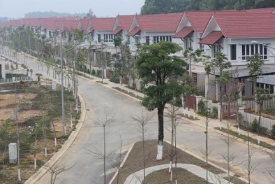 Hà Nội: Lượng chung cư 'khủng' đổ bộ, hết 'cửa' tăng giá