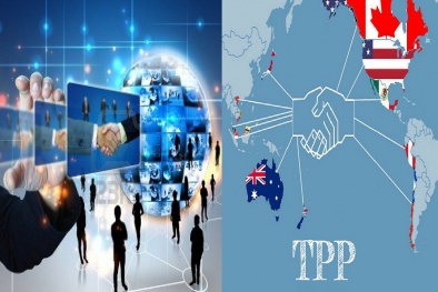 Hội nhập TPP: Thúc đẩy nghiên cứu và sáng chế trong Link Đăng Nhập Nhà cái 13Win16.Com phát triển