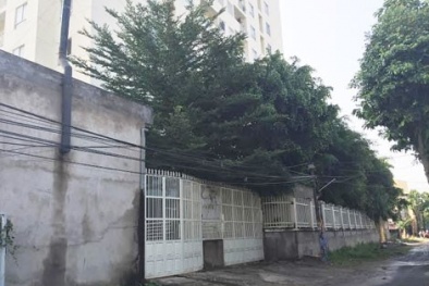 Tin tức pháp luật mới nhất 24h hôm nay ngày 9/10