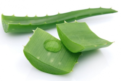 5 mẹo hay giúp loại bỏ gàu cực đơn giản cho mái tóc