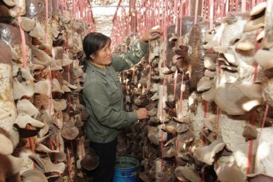 Ứng dụng công nghệ di động giúp tăng năng suất ngành Đăng ký và nhận 60K 24 bao lì xì miễn phí mỗi ngày