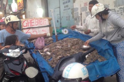 Hoang mang 13Win OKVIP Cá cược bóng đá siêu rẻ chứa hóa chất độc hại