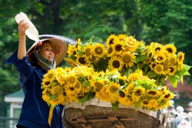 Dự báo thời tiết ngày mai 15/10: Bắc Bộ tiếp tục nắng nóng trên diện rộng 