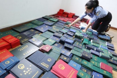 'Giáo chủ văn bằng giả' sa lưới