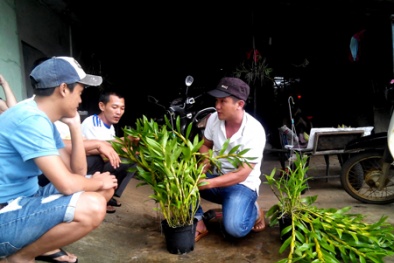 Triệu phú 8x làm giàu từ lan rừng
