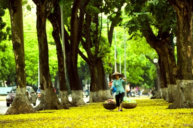 Dự báo thời tiết ngày mai 22/10: Bắc Bộ ngày nắng, có mưa nhỏ vài nơi 