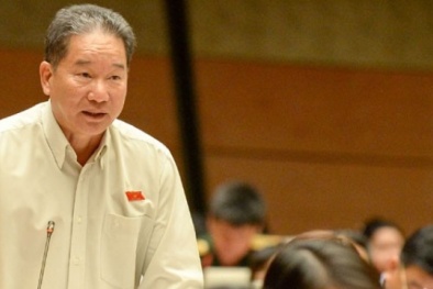 'Đi giám sát mà dê đi lạc vào nhà Bí thư lại không biết'