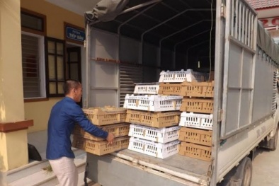 Tin tức pháp luật mới nhất hôm nay ngày 25/10